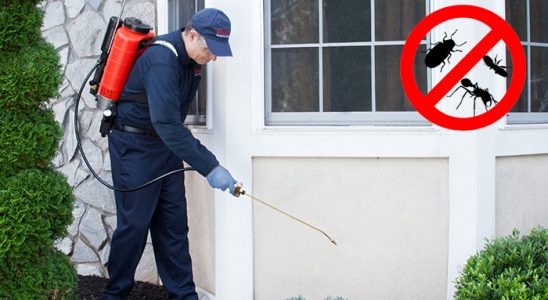 Dargeçit Hamam Böceği İlaçlama böcek ilaçlama ve haşere kontrolü — ilaclama-tr.com